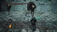Ruin Sentinel hits his friends shield