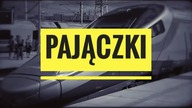 Pajączki