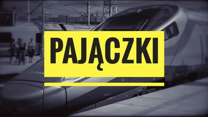 Pajączki