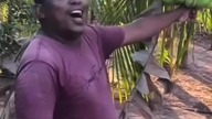 #buczer #funny #viral #viralvideo #trend #shorts #shortvideo #short