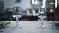 Dieta z owadów - film dokumentalny lektor pl