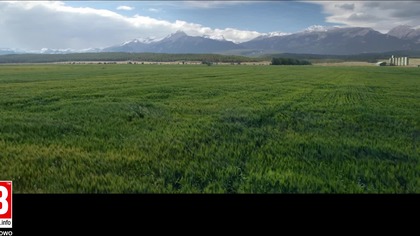Far Cry 5 - Witamy w Hope County