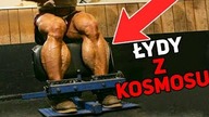 Największe ŁYDKI w Historii Kulturystyki!