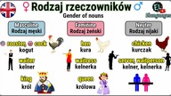 Rodzaje rzeczowników angielski męski żeński nijaki - Gender of nouns in English masculine feminine