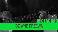 Jak zagrać #324: Dziwne drzewa - KSU | PTA: 2/6 | SoundFarm