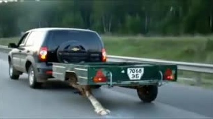 Po co komu koło?