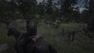 Red Dead Redemption 2 Skarb gangu Jacka Halla#1