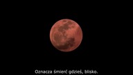 Mroczna noc stracha na wr&oacute;ble 2 (2022) aut.pl