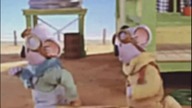 starą bajką bracia koala? #cartoon #shorts #funny