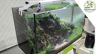Akwarium konkursowe - Andrzej Sobieraj Aquael Aquascape Contest 2019r.