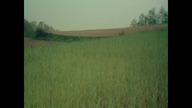 Zmory (1978)