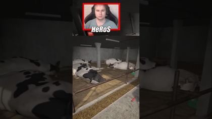 OTRULI NAM KROWY  #farming