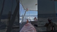 Fast sailing from Bahamas to SXM  #shorts #sailing #yacht