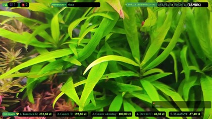 Made with Restream. Livestream on 30+ platforms at once via https://restream.io

Sprzątamy, przesadzamy i gadamy  :)

-------------------------------------------------------------------------------------------------------------------------------------------------
Zacznij wspierać ten kanał, a dostaniesz te bonusy:
https://www.youtube.com/channel/UCaMYr1C1Y0cHNbDgik_wIMA/join

Zapraszam na FB: https://www.facebook.com/bekonakwa
Discord: https://discord.gg/BkbHsheY2A

-----------------------------------------------------------------------------------------------------------------------------------------------------
!!!DONATE!!!  Podoba Ci się i chcesz mnie wesprzeć: https://tipply.pl/u/konradxxx3   !!!DONATE!!! 
------------------------------------------------------------------------------------------------------------------------------------------------------
https://bekonstudio.pl/