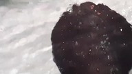 Rays / Płaszczki 