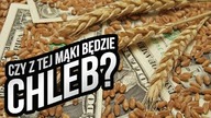 Inwestowanie i spekulacja na rynku pszenicy