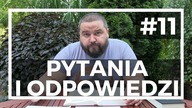 Q&A #11 Fabian Błaszkiewicz | Czy Według Biblii Ziemia Jest Płaska?