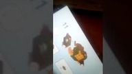 Zestawy lego ninjago #2