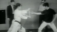 Death by Misadventure (1993) Tajemnicza śmierć Bruce Lee