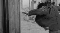 Grek Zorba