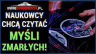 Naukowcy potrafią wydobywać wspomnienia z mózgów zmarłych!