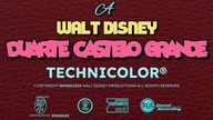 Disneyland Trip (February 2025)