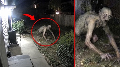 Nagrano stworzenia, które wyglądają jak POTWORY