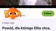 Dowody na to, że owady zawierają chitynę
