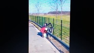 niemcy upadaja i staruszkowie zbieraja butelki po śmietnikach