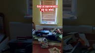BaldTV Przeprowadza się na wieś. 