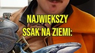 Jalapeno czy dżalapino?  #maturatobzdura #współpracapłatna #tarczyński #śmieszne #szkoła