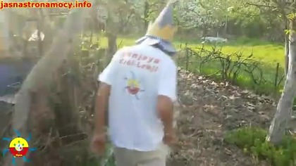 sok z krzewu winogrona