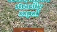 Wróżba dla osób, które straciły zapał 