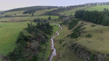 Morderstwa w Cantal.  (2023) lektor