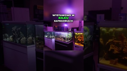 Wystawa Akwarystyczna Oceny Jury i Nagrody dla Zwycięzców!