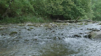 10-Hour Natural White Noise | Rushing River Sounds for Unbroken Focus & Study