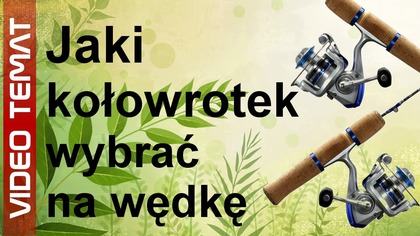 Jaki wybrać kołowrotek wędkarski do wędki