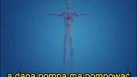 Materialistyczny punkt widzenia w świetle ciekawostek naukowych
