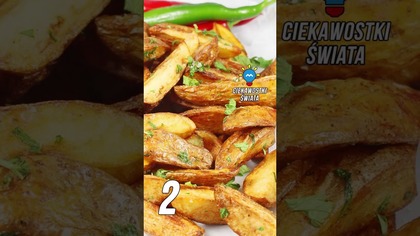 3 CIEKAWOSTKI O FRYTKACH