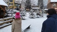 magiczne Ustrzyki Dolne