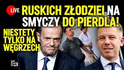 Ruskich złodziei na smyczy do pierdla! Niestety tylko na Węgrzech | IPP