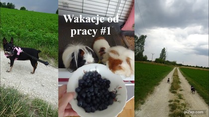 Wakacje od pracy czyli zaczynam urlop