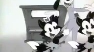 Przygody Animk&oacute;w s01e94 eng