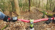 Masakra w lesie  Enduro MTB