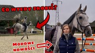CO ZROBIĆ JAK KOŃ BRYKA LUB DĘBUJE? + NOWOŚCI J/Z 2020 W KOŃSKIEJ MODZIE!