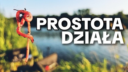 677 RĘDZIN POPOŁUDNIEM - ROZBUJANE LESZCZE Z ODRY