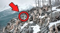 Alpiniści Zaniemówili, Gdy Odkryli TO Wysoko w Górach!