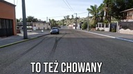 CHOWANEGO na WSI w RUCHU ULICZNYM w Forza Horizon 5  + Mały troll 