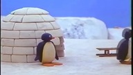 Pingu (Odcinek 22) - Pingu buduje igloo