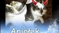 Kot Frędzelek - mój aniołek z różkami